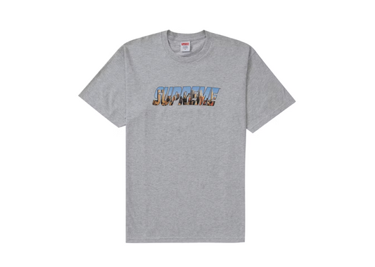 Supreme Gotham Tee Ash Grey