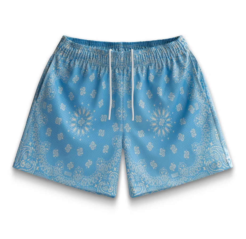 Bravest Studios Shorts Paisley Light Blue